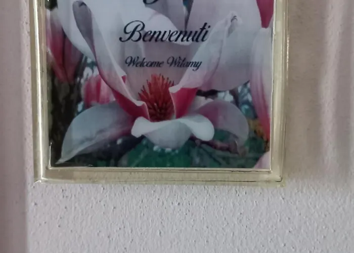 Bed & Breakfast Rb Gaiba