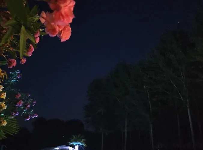 Rb Nocleg ze śniadaniem 3*