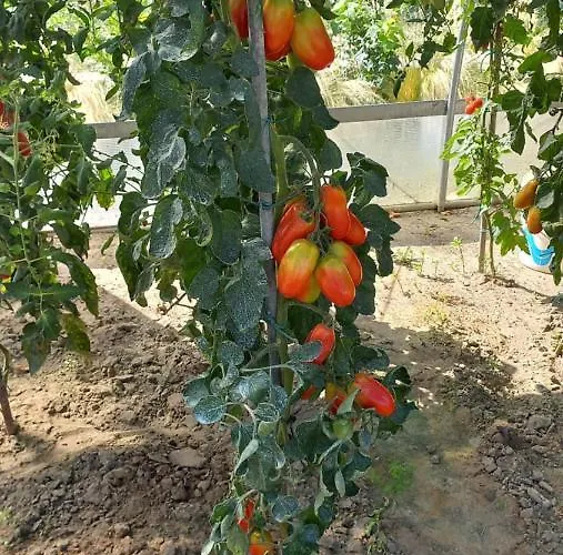 Nocleg ze śniadaniem Rb 3*