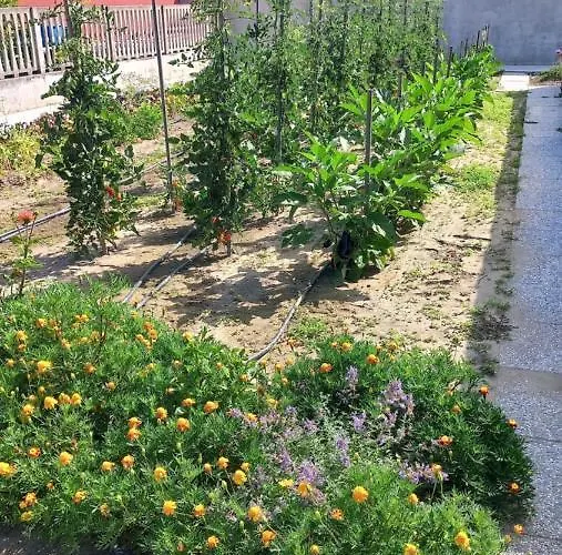 Rb Nocleg ze śniadaniem 3*